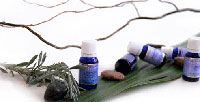Phyto-Aroma Massage  หรือการนวดโดยใช้กลิ่นหอมบำบัด
