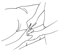 วิธีการนวดแผนโบราณขั้นพื้นฐาน "นวดแขนและมือ" ท่าที่ 10 "ลูบและคลึงนิ้วมือ" 