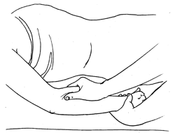 วิธีการนวดแผนโบราณขั้นพื้นฐาน "นวดแขนและมือ" ท่าที่ 8 "คลึงแขนส่วนล่าง" 