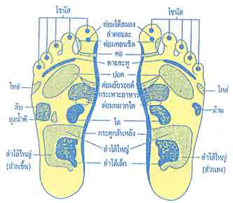 วิธีการนวดและกดจุดฝ่าเท้า รักษาโรคเบื้องต้นด้วยตัวเอง ตอนที่ 2