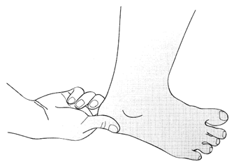 วิธีการนวดและกดจุดฝ่าเท้า บรรเทาอาการเส้นเลือดขอด