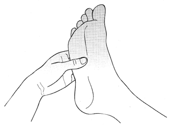 วิธีการนวดและกดจุดฝ่าเท้าบรรเทาและแก้ไขอาการอวัยวะเพศไม่แข็งตัว