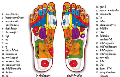 เรียนนวดฟรี-วิธีการนวดแผนโบราณ นวดไทย "วิธีนวดกดจุดฝ่าเท้าขั้นพื้นฐาน 1 (34 ท่า)"