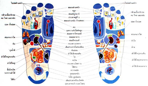 บทความสาระน่ารู้:-แพทย์ทางเลือก-การนวดกดจุดสะท้อนเท้า (Foot Reflexology)