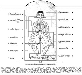 ตำราแพทย์แผนโบราณ "เส้นประธานสิบ" หลักสำคัญของวิชาการนวดไทย